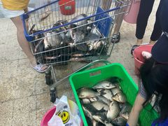 -光明食品集团有限公司