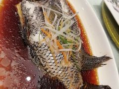 -龙景軒大酒店(共康店)