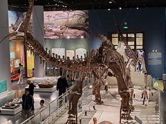 -国家自然博物馆