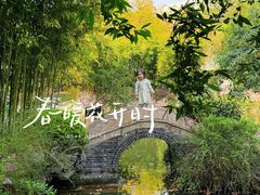-汇龙潭