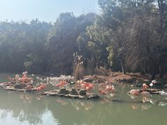-宁波野生动物园