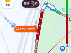 -上海滨江森林公园