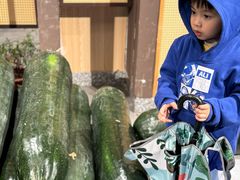 -翟辉冬瓜盅火锅(南村万博店)