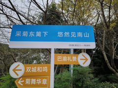 -南山植物园