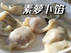 萝卜素馅儿水饺-枫林饺子