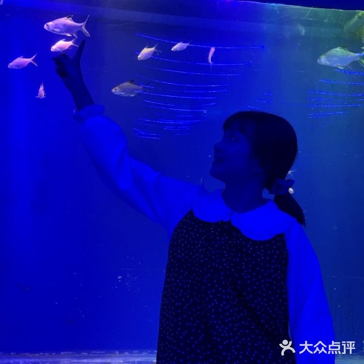 闲暇周末/欢乐海底世界