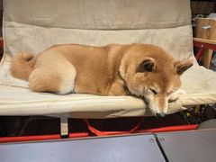 -小时光咖啡馆(开森度假森林店)