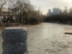 景点-朝阳公园