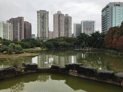 -四海公园(南山区)