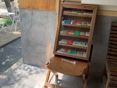 -春风习习