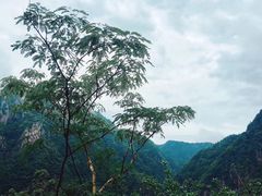 -楠溪江风景名胜区