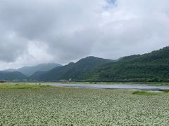 -腾冲北海湿地