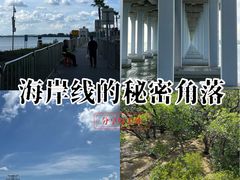 -宝安西湾红树林湿地公园