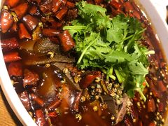 重庆毛血旺-三猫黑鱼花(南大店)