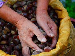 android_upload_pic-北京东方普罗旺斯薰衣草庄园