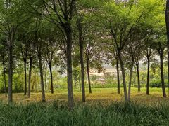 -天津东丽湖风景区