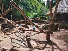 -海南热带野生动植物园