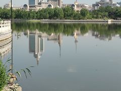 -莲花池公园
