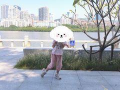 -厦门白鹭洲公园