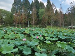 -渤公岛生态公园