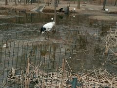 -石家庄极地海洋世界