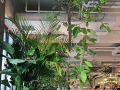 -the rug 飞毯 (朝阳公园店)