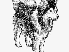 -一品格美术·中考高中成人美术培训