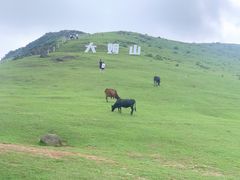 -大姆山草场