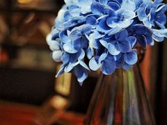 -外婆家(天河领展店)