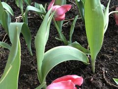 -长春公园(普阳街道)