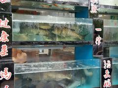 -好灶头妈妈菜·柴火灶台鱼·千岛湖土菜地标美食