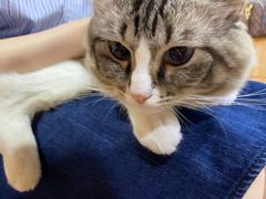 -白兔子密室(长寿路店)