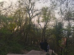 -紫金山山顶公园