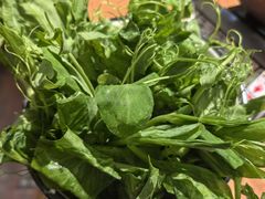 -蓉城小馆(科兴店)