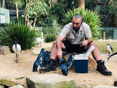 -费瑟代尔野生动物园