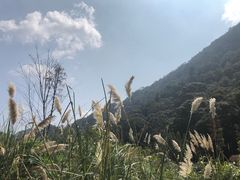 -广州市石门国家森林公园