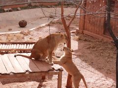 -昆明动物园