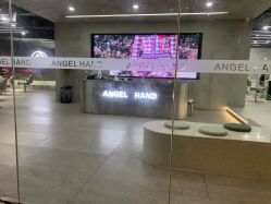 -ANGELHAND