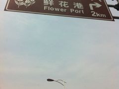 psb-上海鲜花港