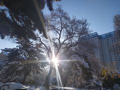 -中国光大银行(皇姑支行)