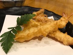 基围虾天妇罗-渔藤(万柳东路店)