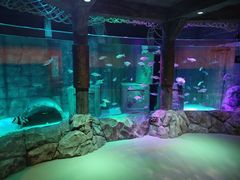 -沈阳海洋探索中心