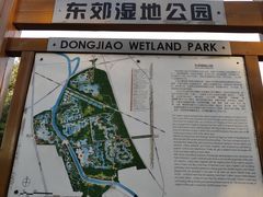 -东郊湿地公园