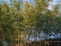 -北京益泉花园酒店