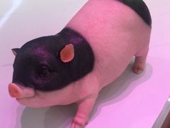 -第一食品(中环百联店)