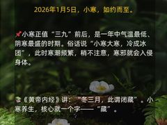 -世医堂推拿艾灸(淮海路店)