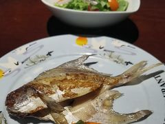 -松子料理(亮马桥店)