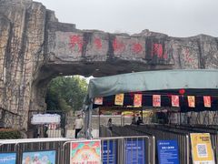 -合肥野生动物园