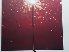 -溪岸路花鸟市场