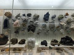 -浙江自然博物院(杭州馆)